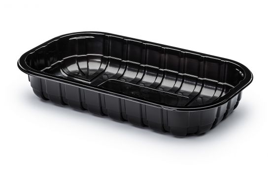 CONTAINER 245x144x67