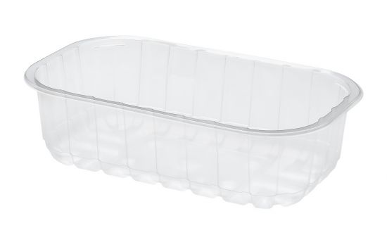 CONTAINER 245x144x40