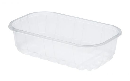 CONTAINER 245x144x65
