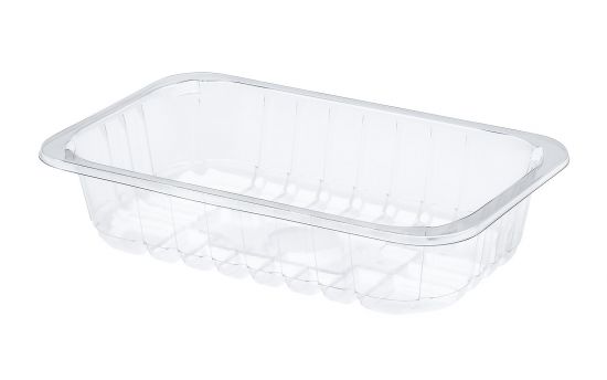 CONTAINER 230x144x50