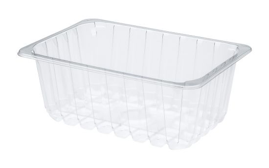 CONTAINER 260x178x100