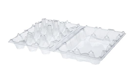 CONTAINER FOR EGGS 15