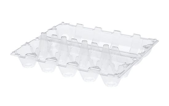 CONTAINER FOR EGGS 10 TYPE B