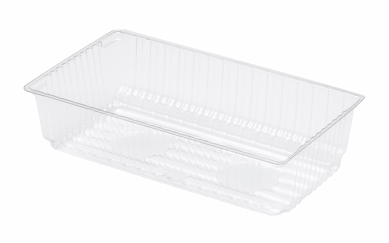 CONTAINER 165x95x40