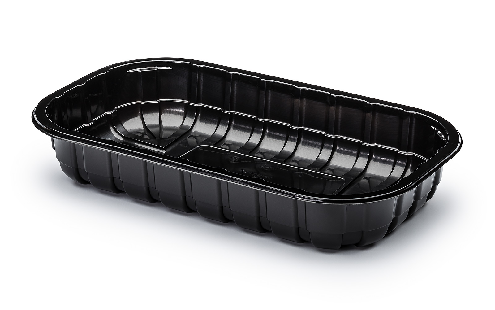 CONTAINER 245x144x67