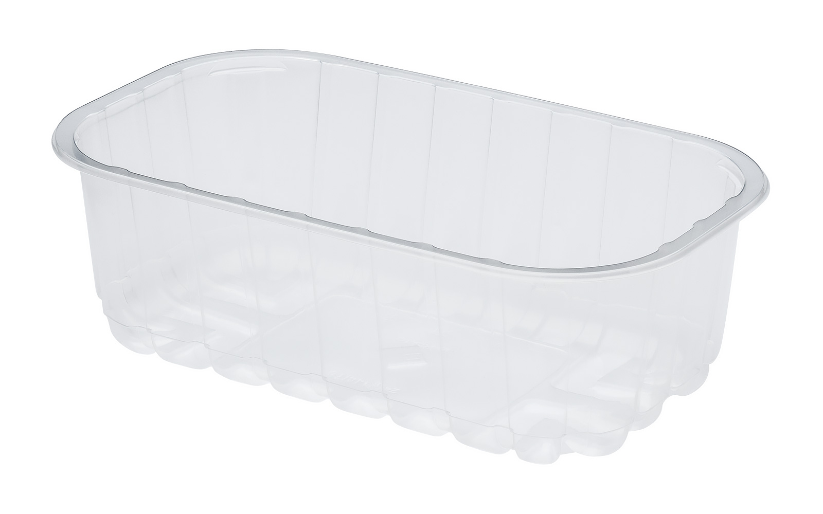 CONTAINER 245x144x78