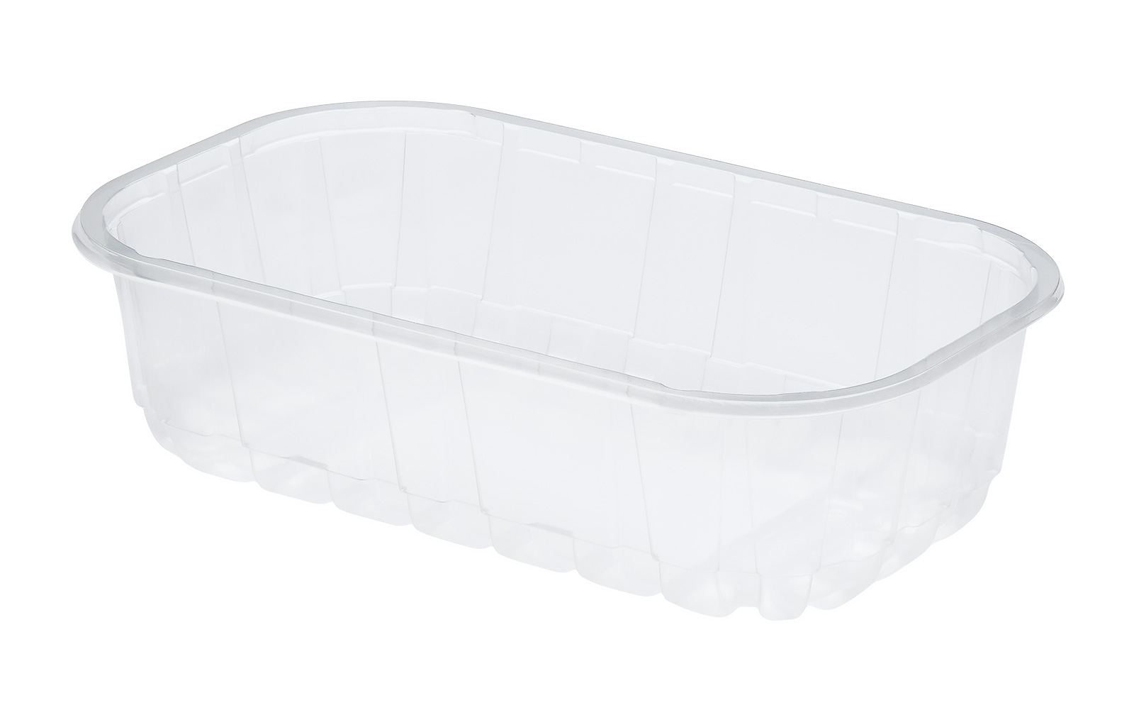 CONTAINER 245x144x65