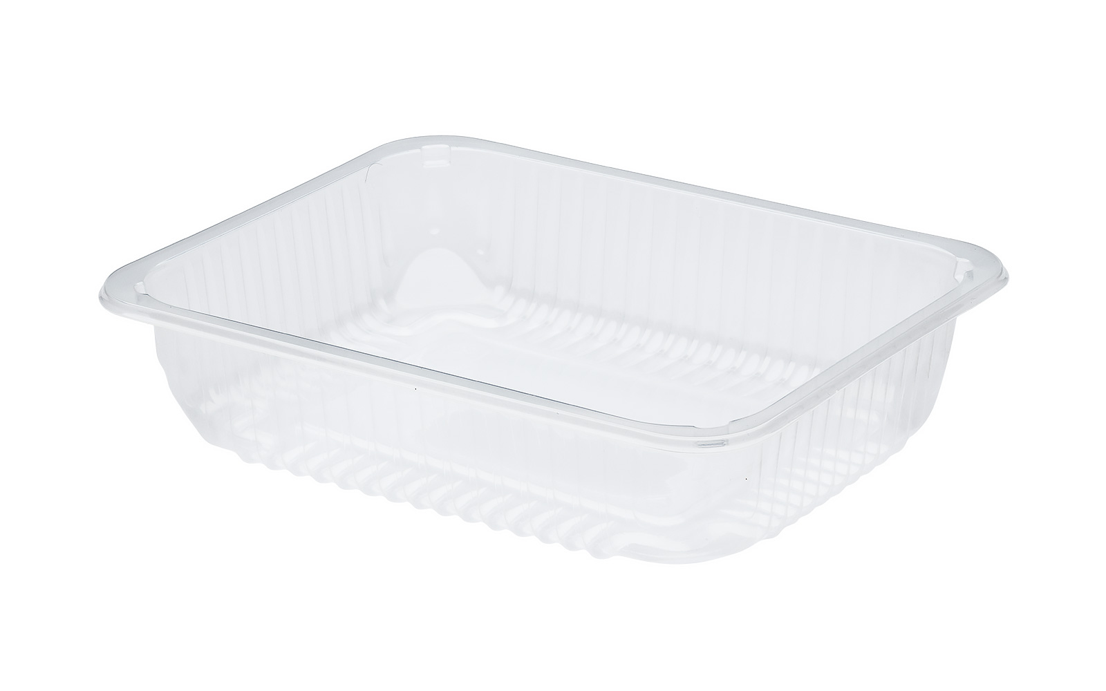 CONTAINER 227x178x50