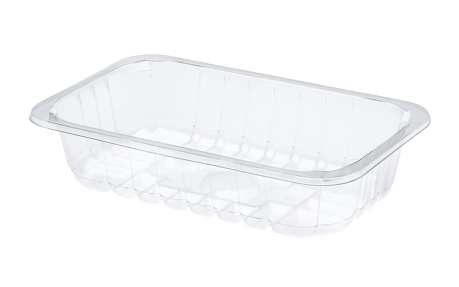 CONTAINER 230x144x50