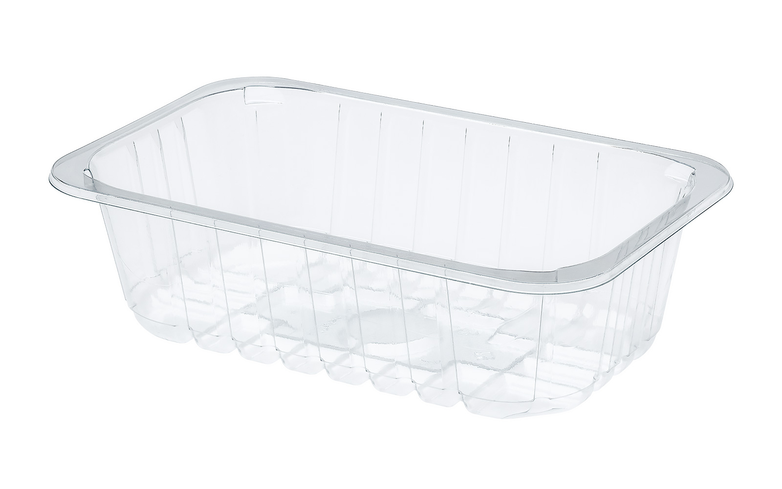 CONTAINER 230x144x65