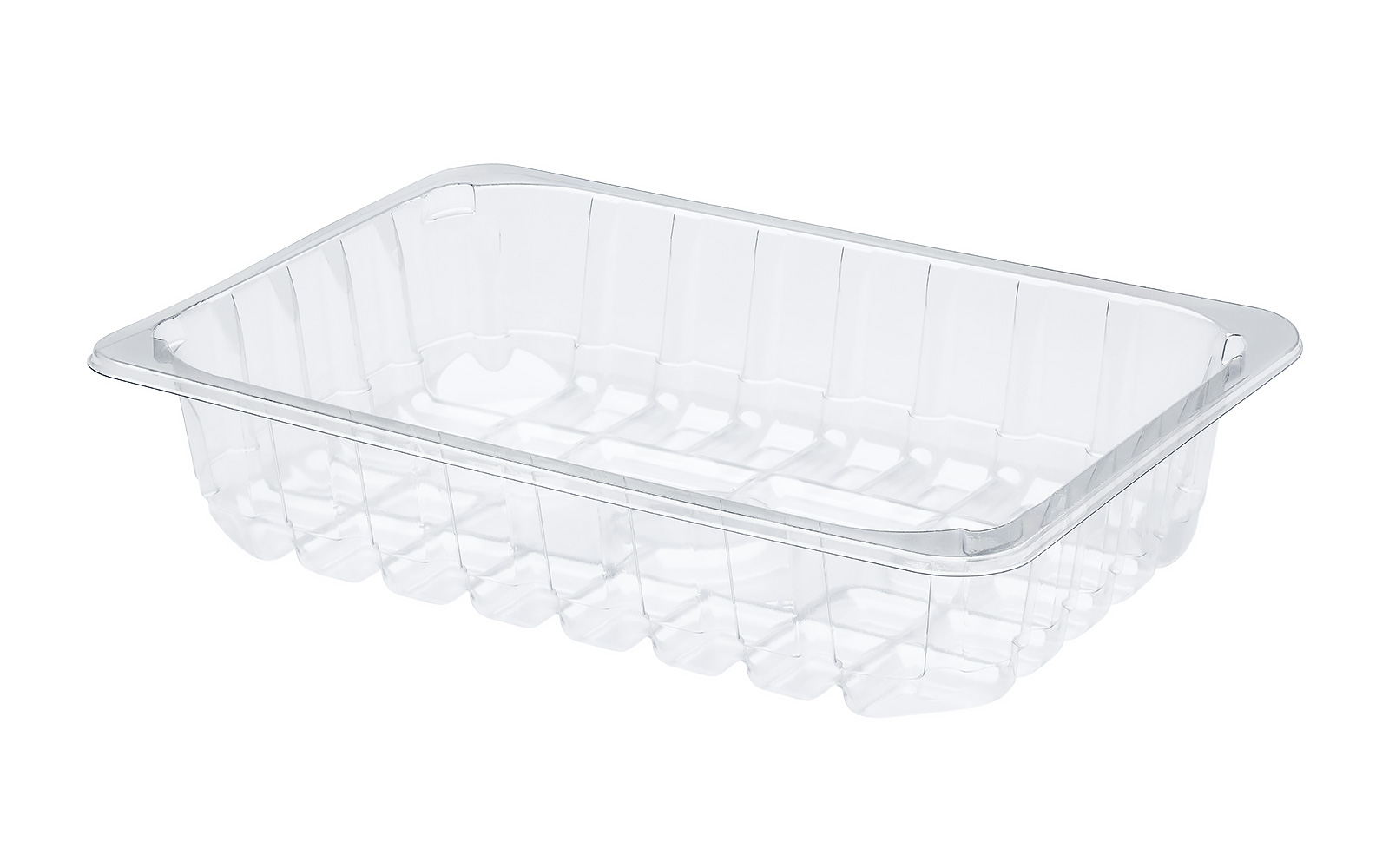 CONTAINER 260x178x55