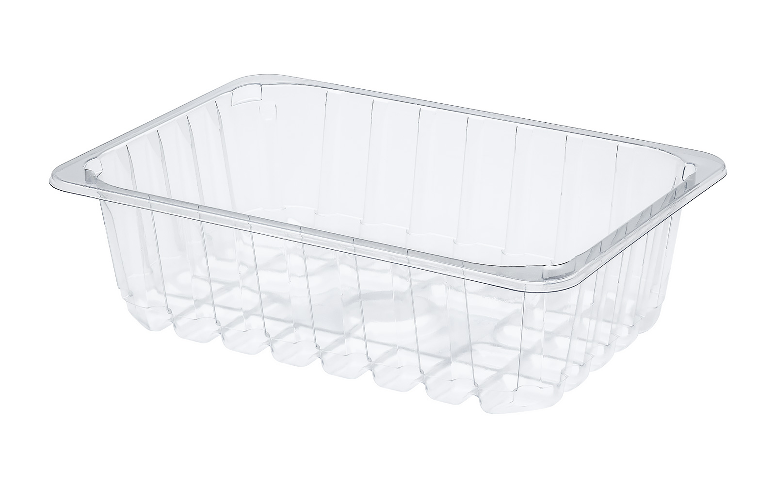 CONTAINER 260x178x75