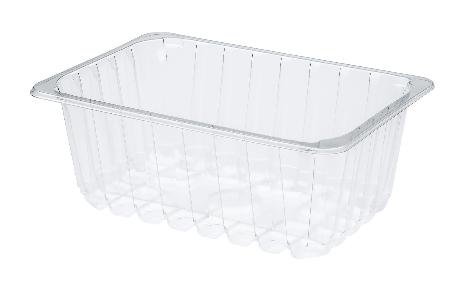CONTAINER 260x178x100