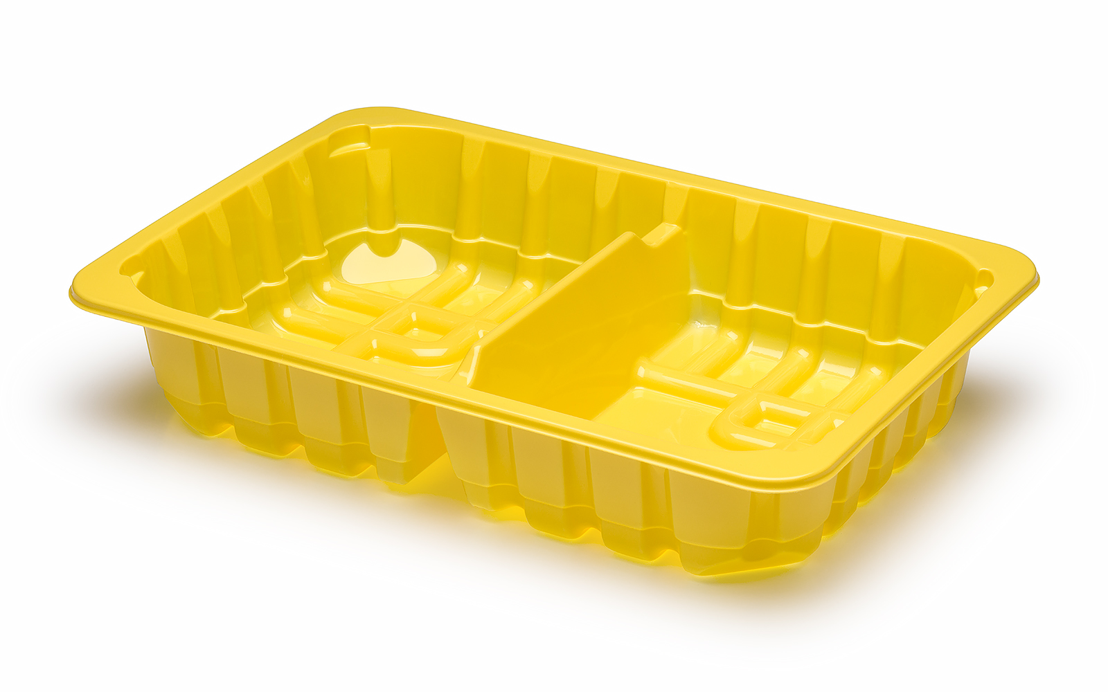 CONTAINER 260x178x50/2