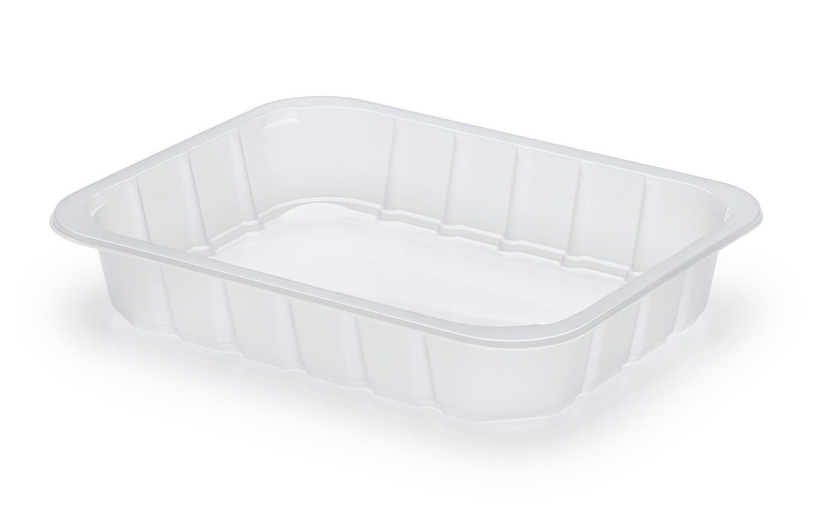CONTAINER 220x170x40