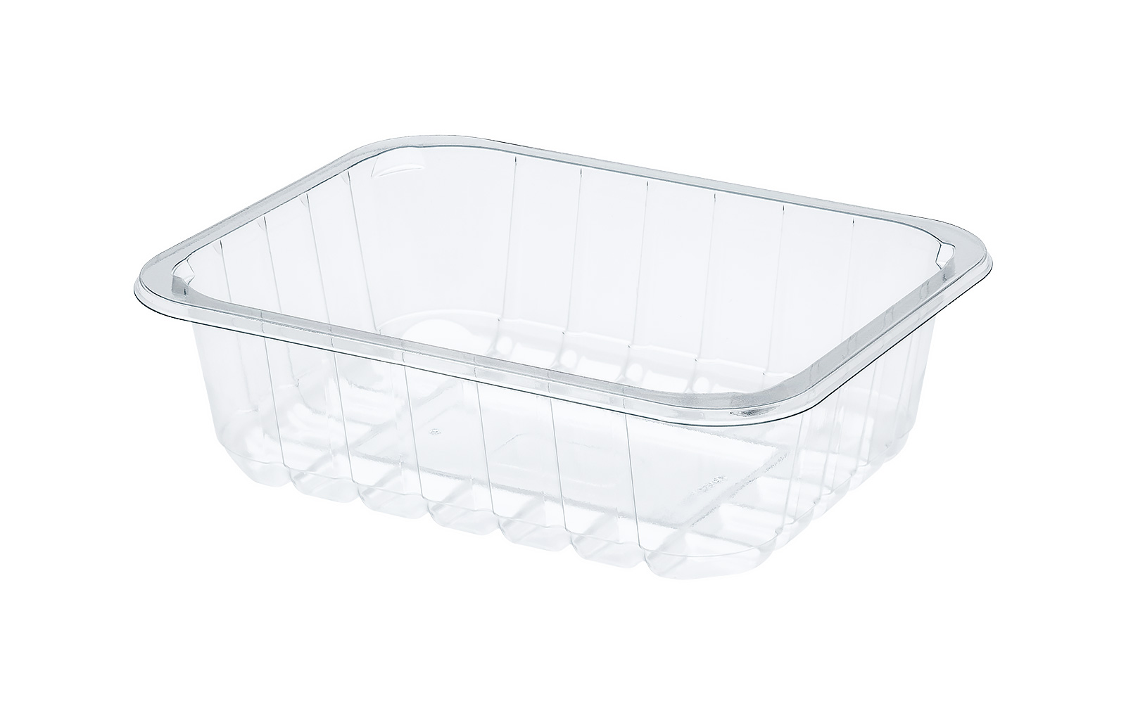 CONTAINER 205x160x60