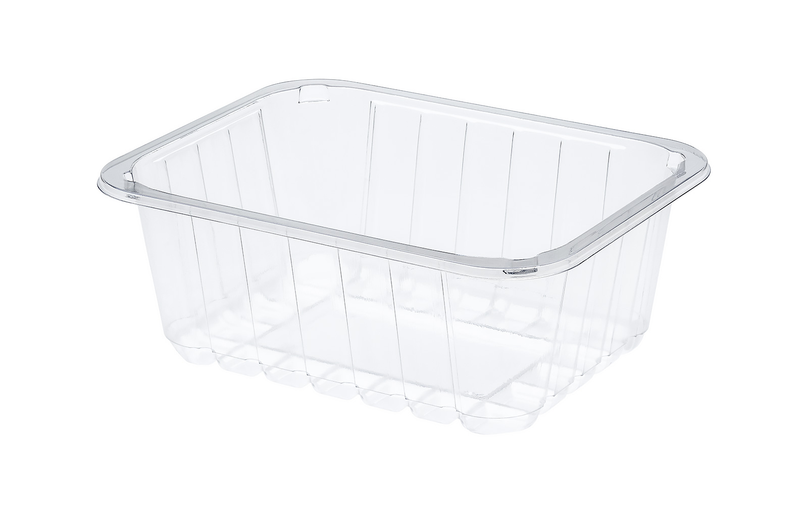 CONTAINER 205x160x80