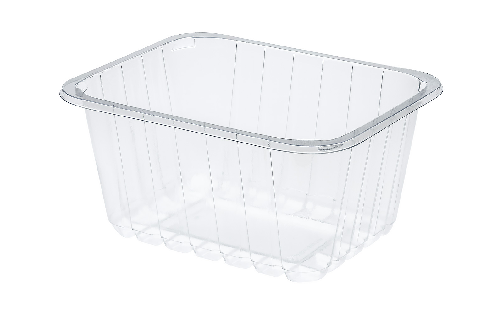 CONTAINER 205x160x100