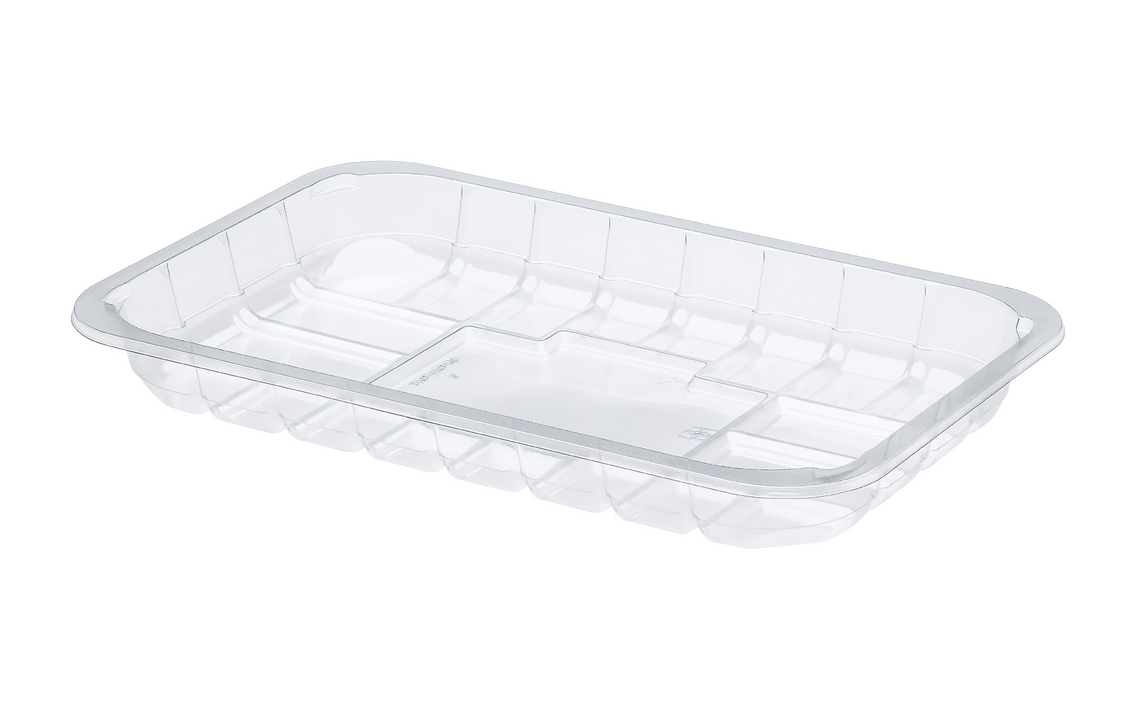 CONTAINER 270x170x30