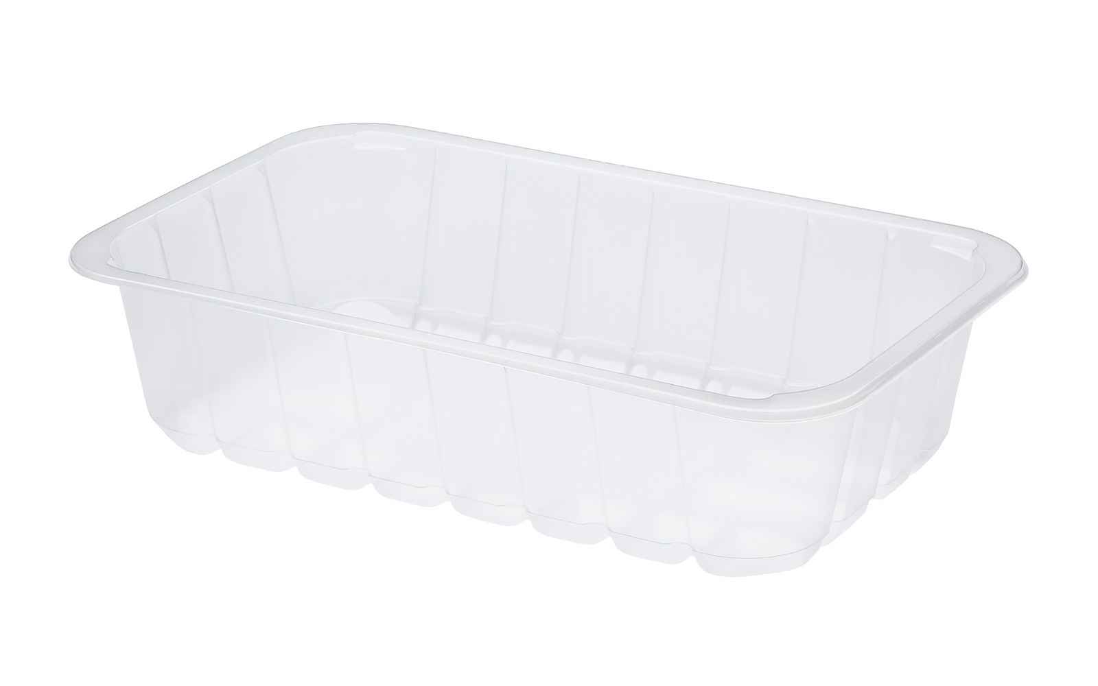 CONTAINER 270x170x65