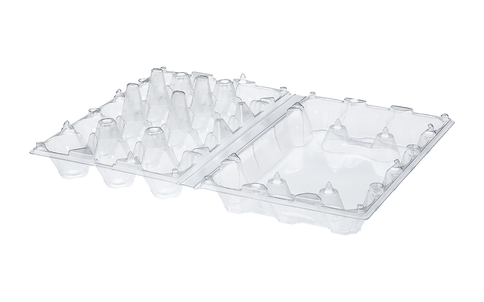 CONTAINER FOR EGGS 15