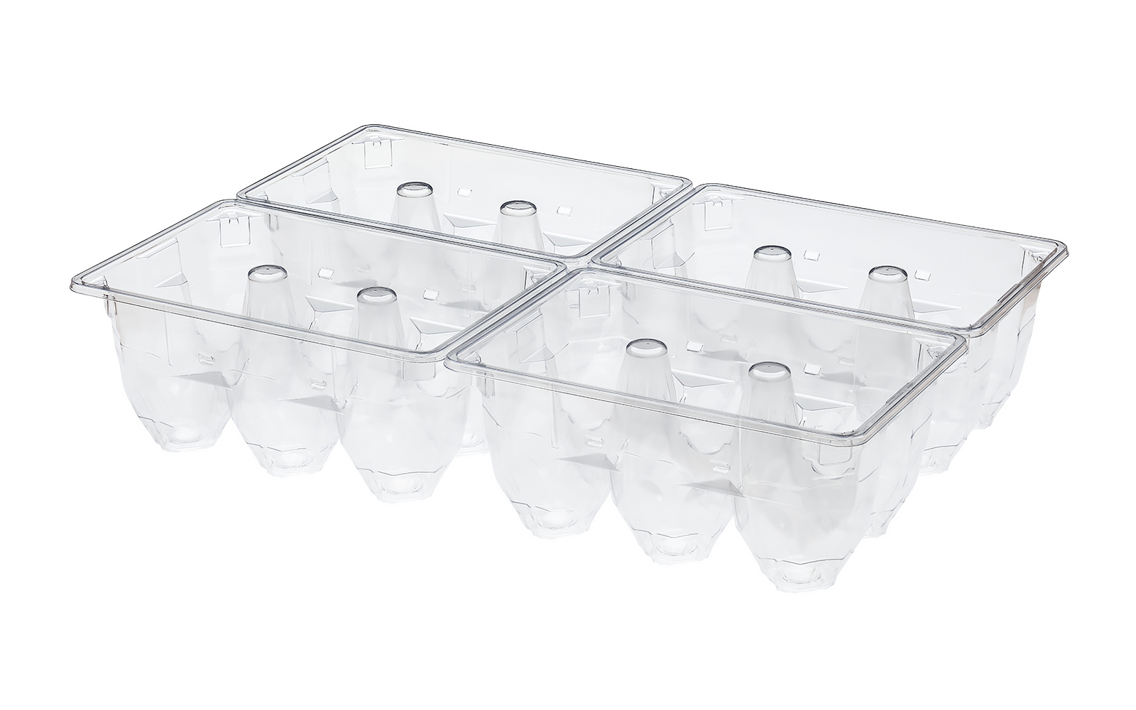 CONTAINER FOR EGGS 4x6