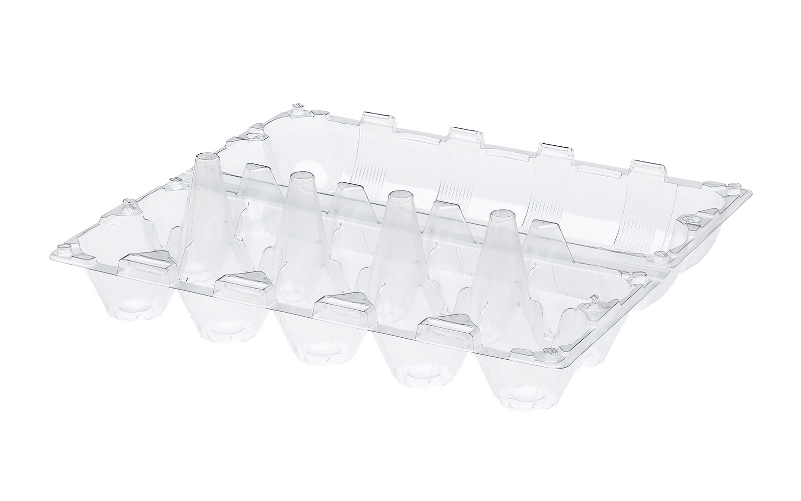 CONTAINER FOR EGGS 10 TYPE B